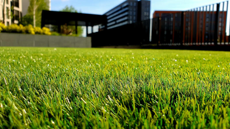 12 Reasons Artificial Grass Is Bad for the Environment